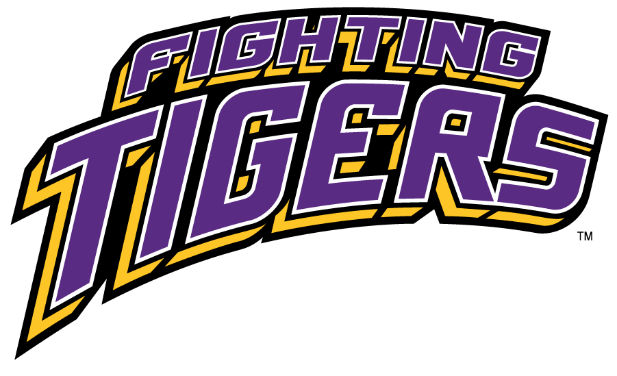 LSU Tigers 2002-2017 Wordmark Logo DIY iron on transfer (heat transfer)